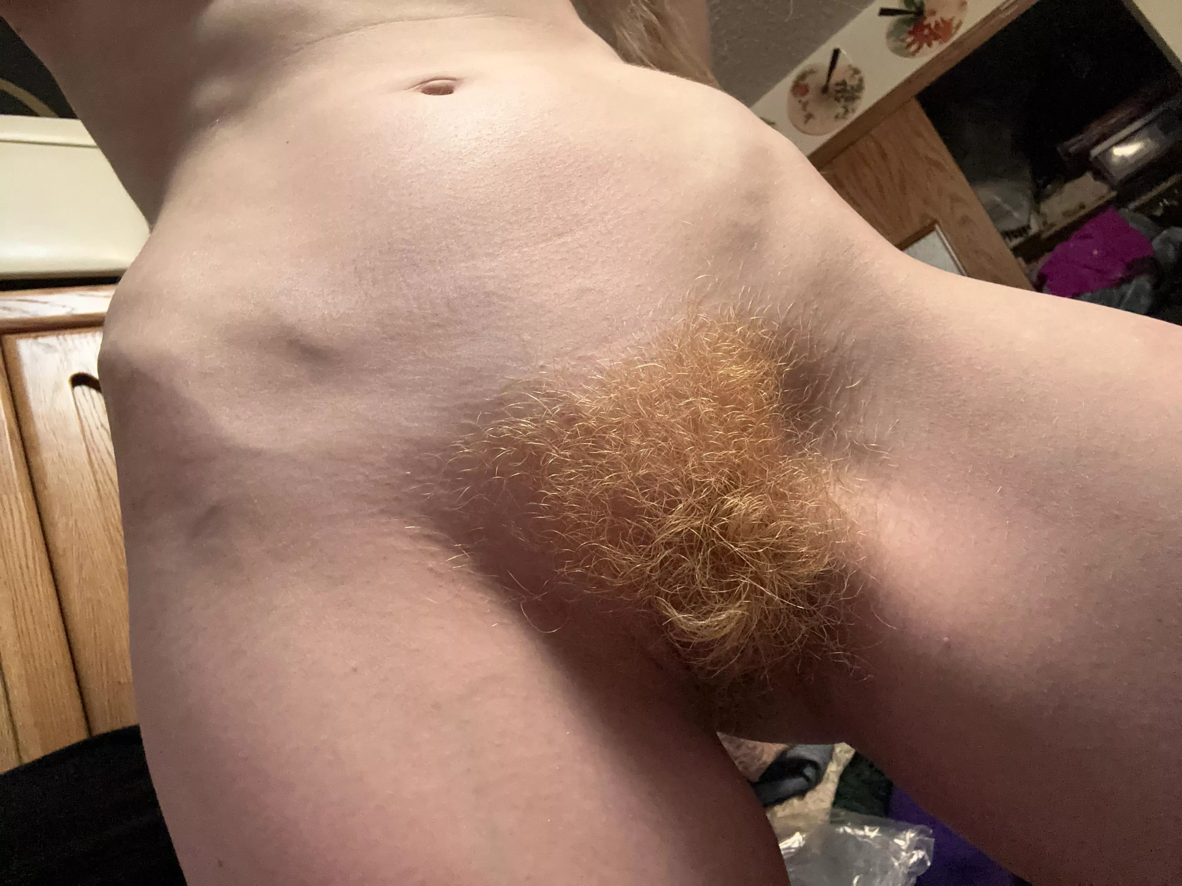 Redhead Furry Bush posted by abbyrse