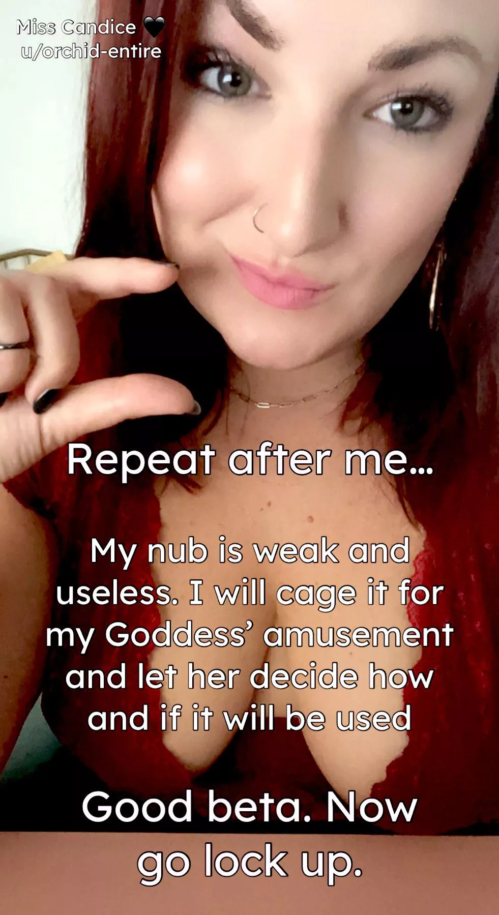 Say it again and again. posted by Orchid-Entire