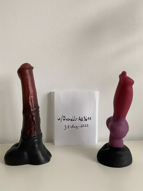 Sell BadDragon Chance unflared M and Rex M (Germany) by Overall-Ad3611
