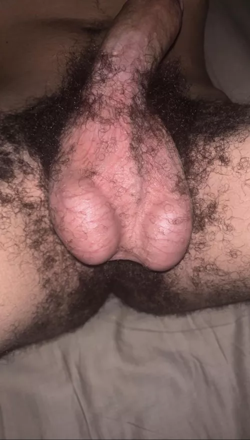 should i shave? by Human_Spring_2728