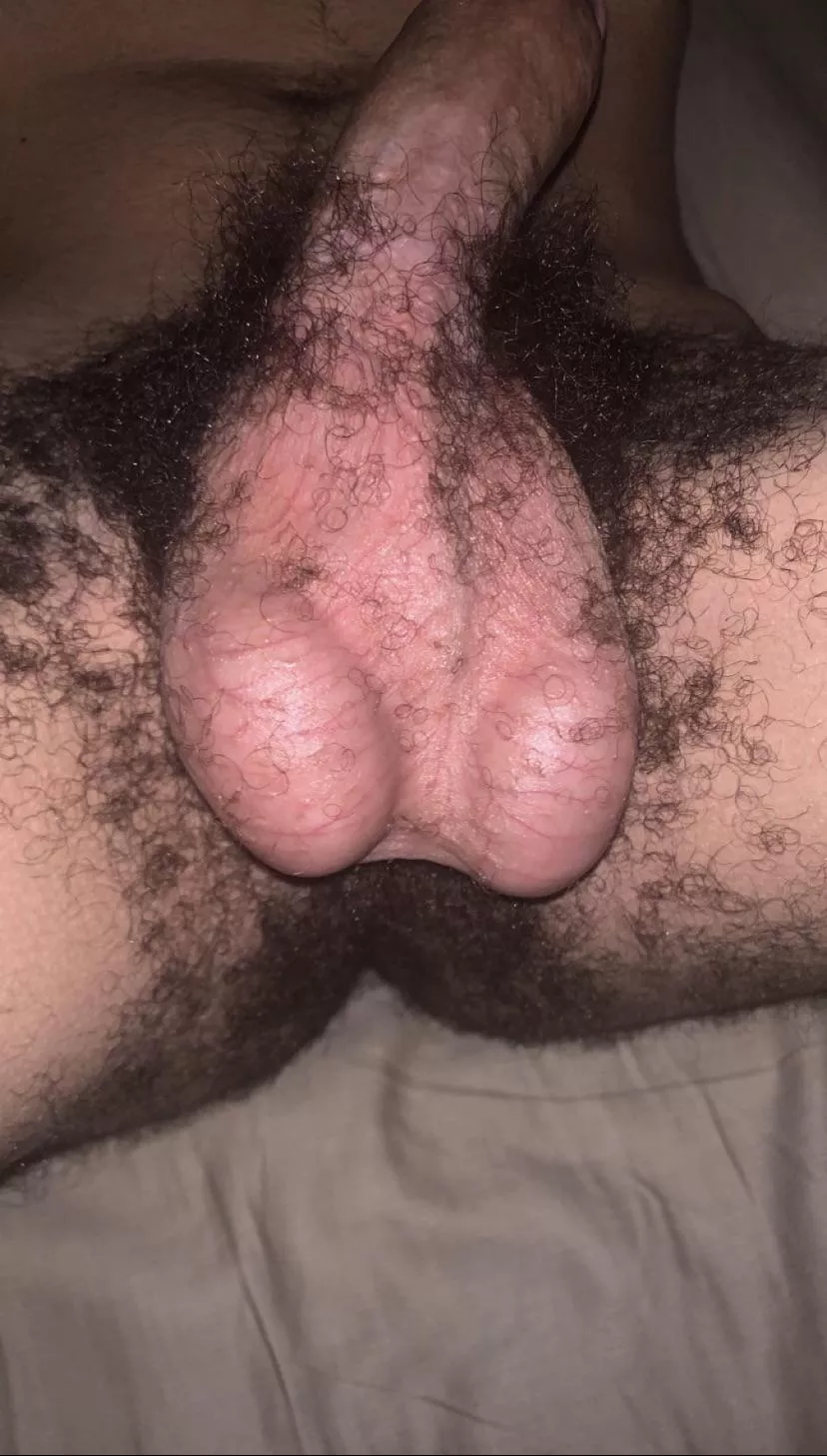 should i shave? posted by Human_Spring_2728