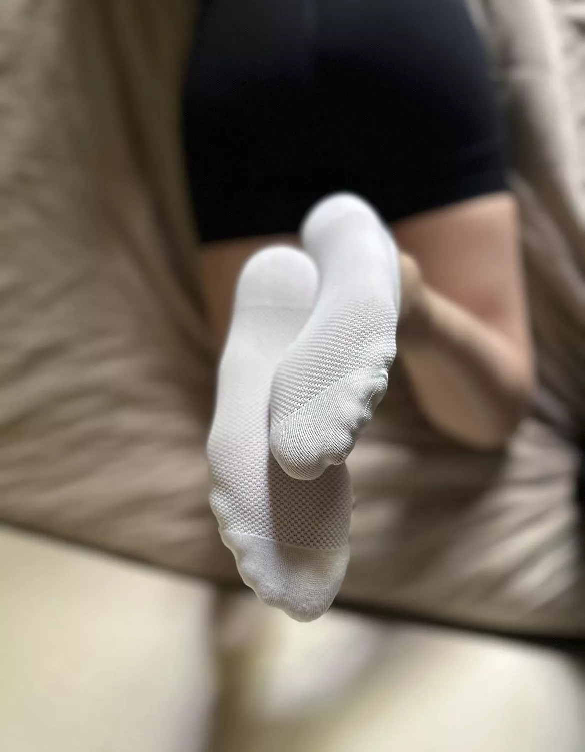 stop staring & sniff them already [f] posted by ilovextcy