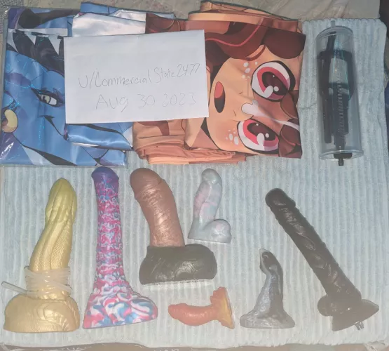Wts dildos and body pillows by CommercialState2477