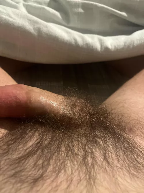 30. Usa. Dad. Horny. Looking for fun. Add me. Equestrianman by equestrianman01