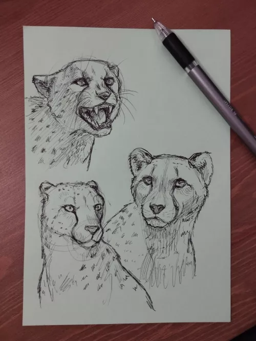 Preparation for a character (Art by me) by pawperpaw