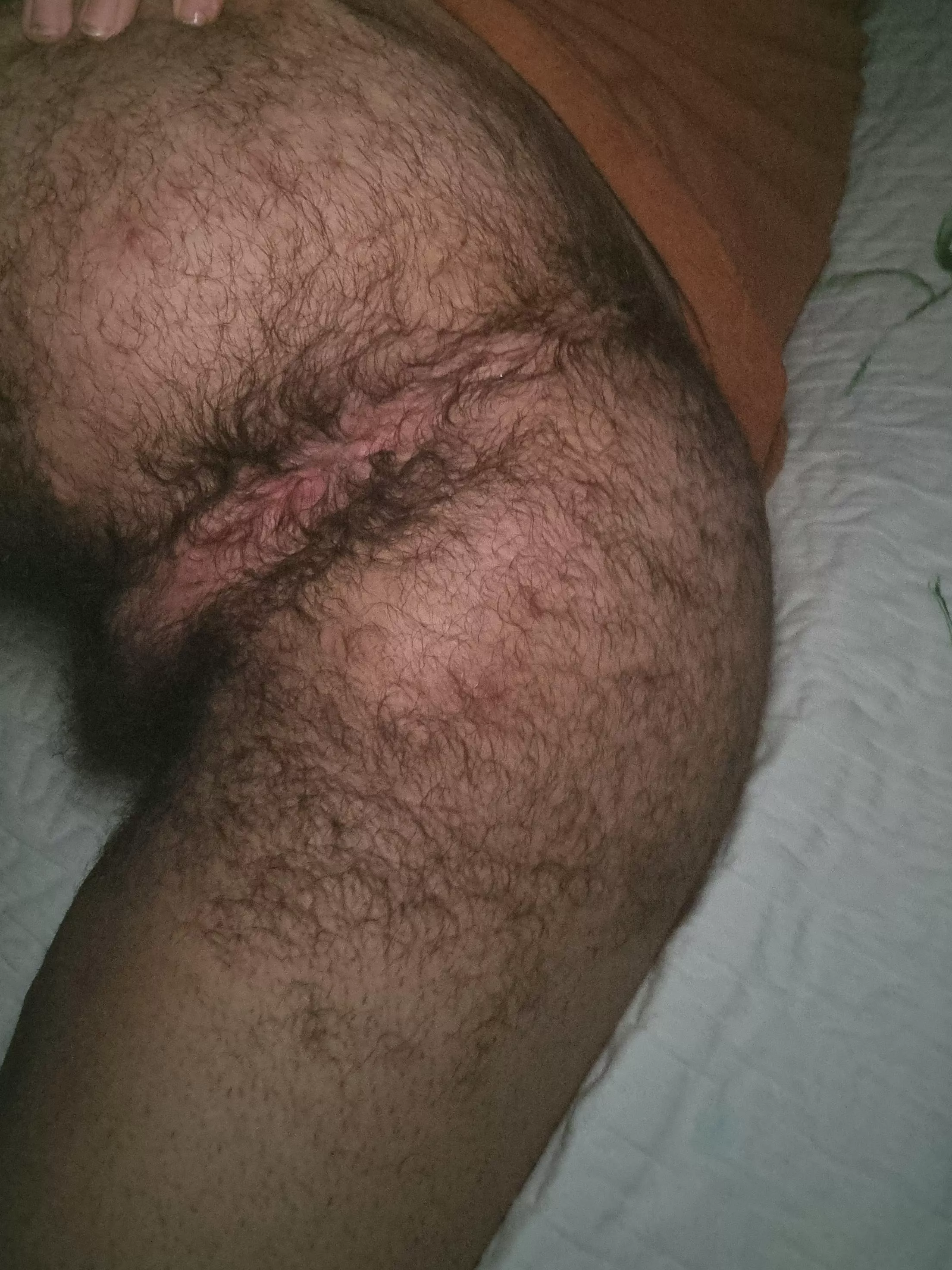 Hairy enough? posted by le_putit