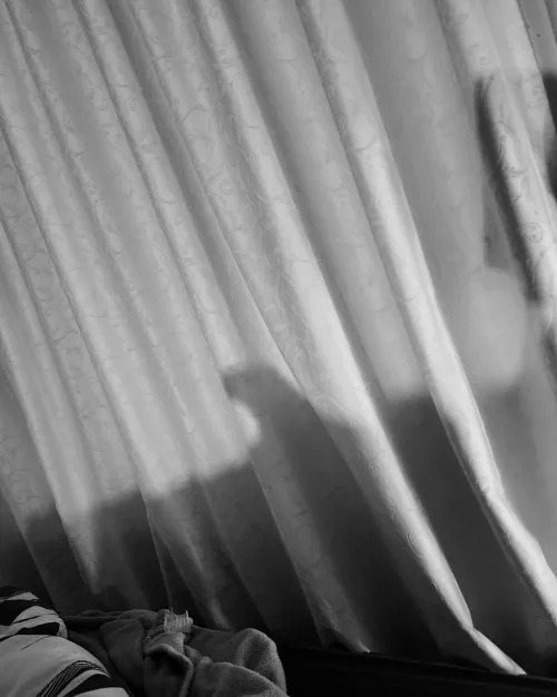 Shades by flyhighstayhard