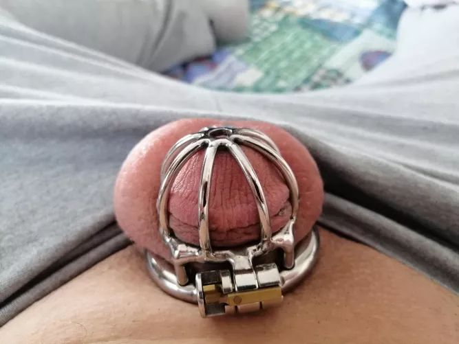 Should I get a smaller cage? by delta2513