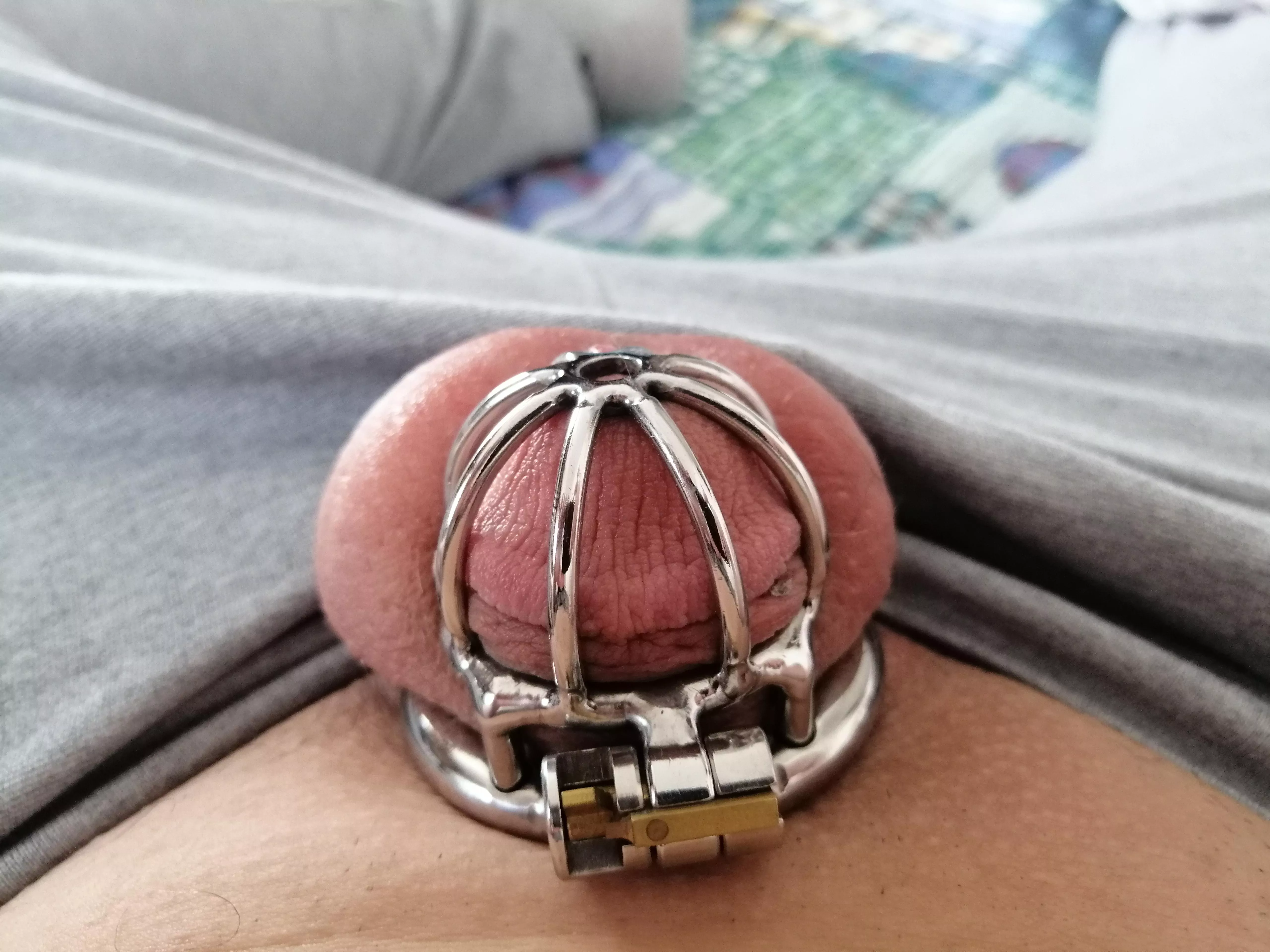 Should I get a smaller cage? posted by delta2513