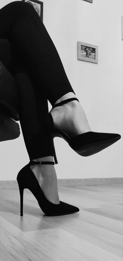 So elegant, so bossy by Dalya000