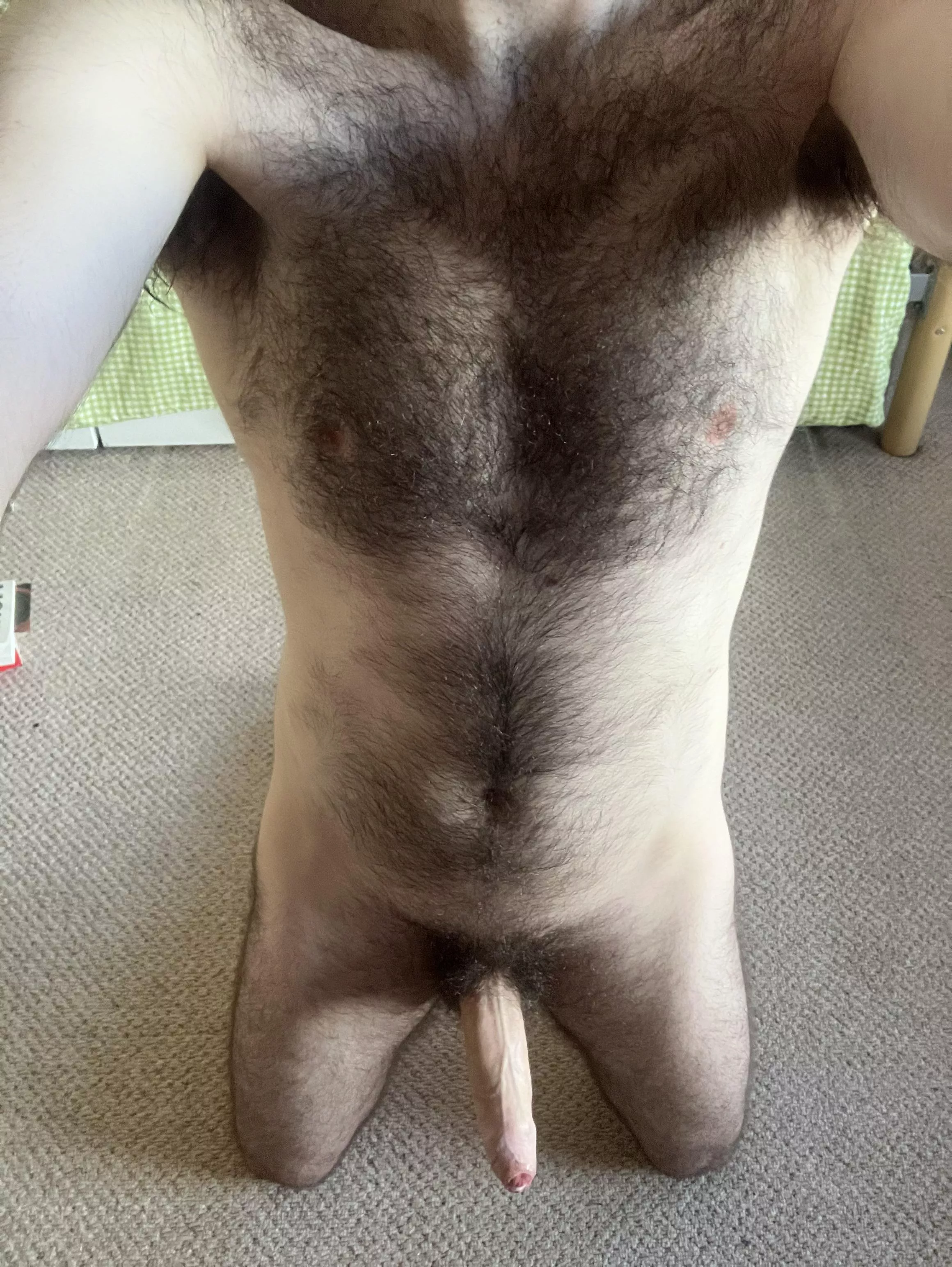 Any Dads/bros like to own a sub otter? 30 UK posted by QueerManc92