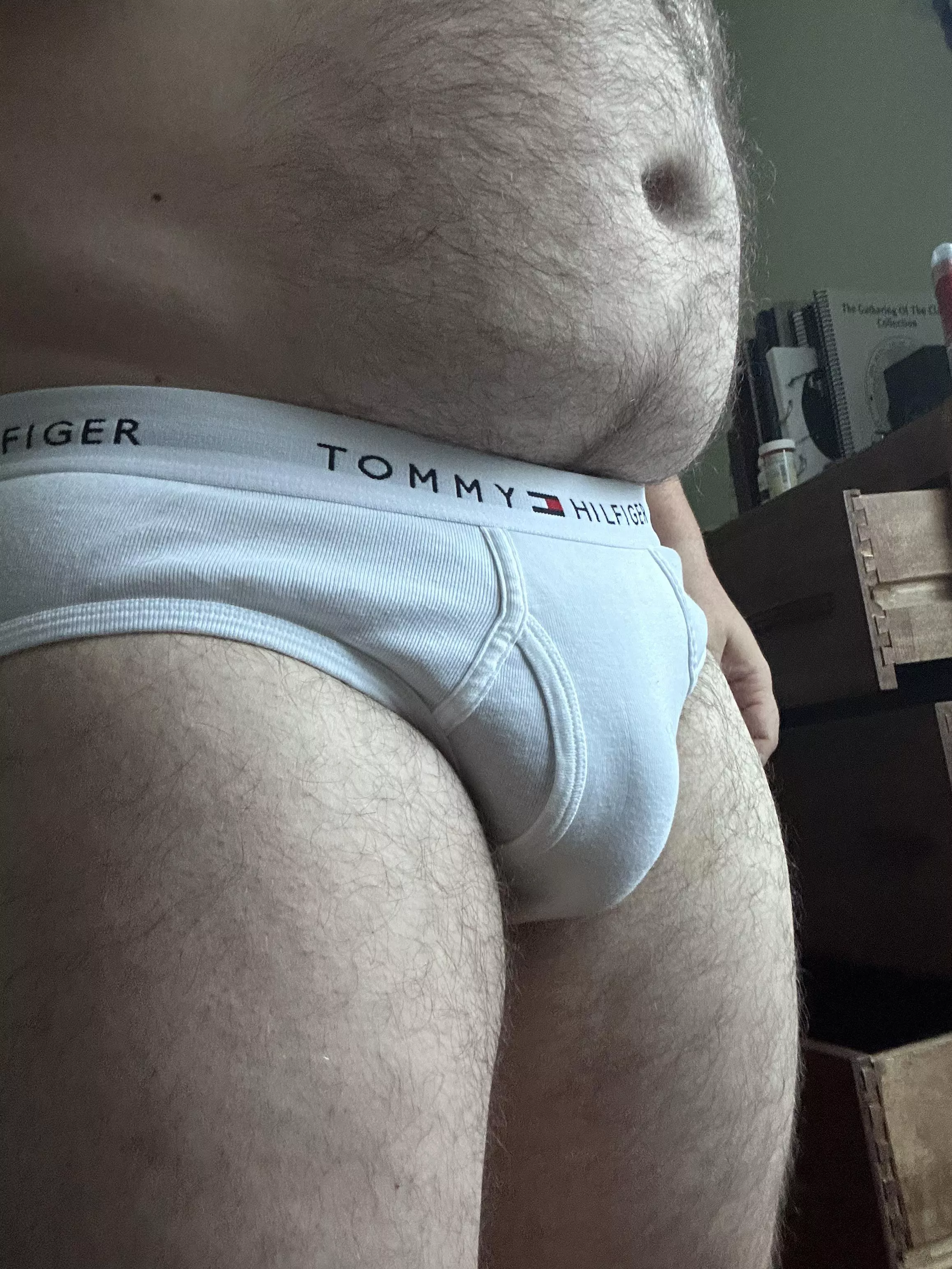 Fresh in Tommy posted by pidderpaddy