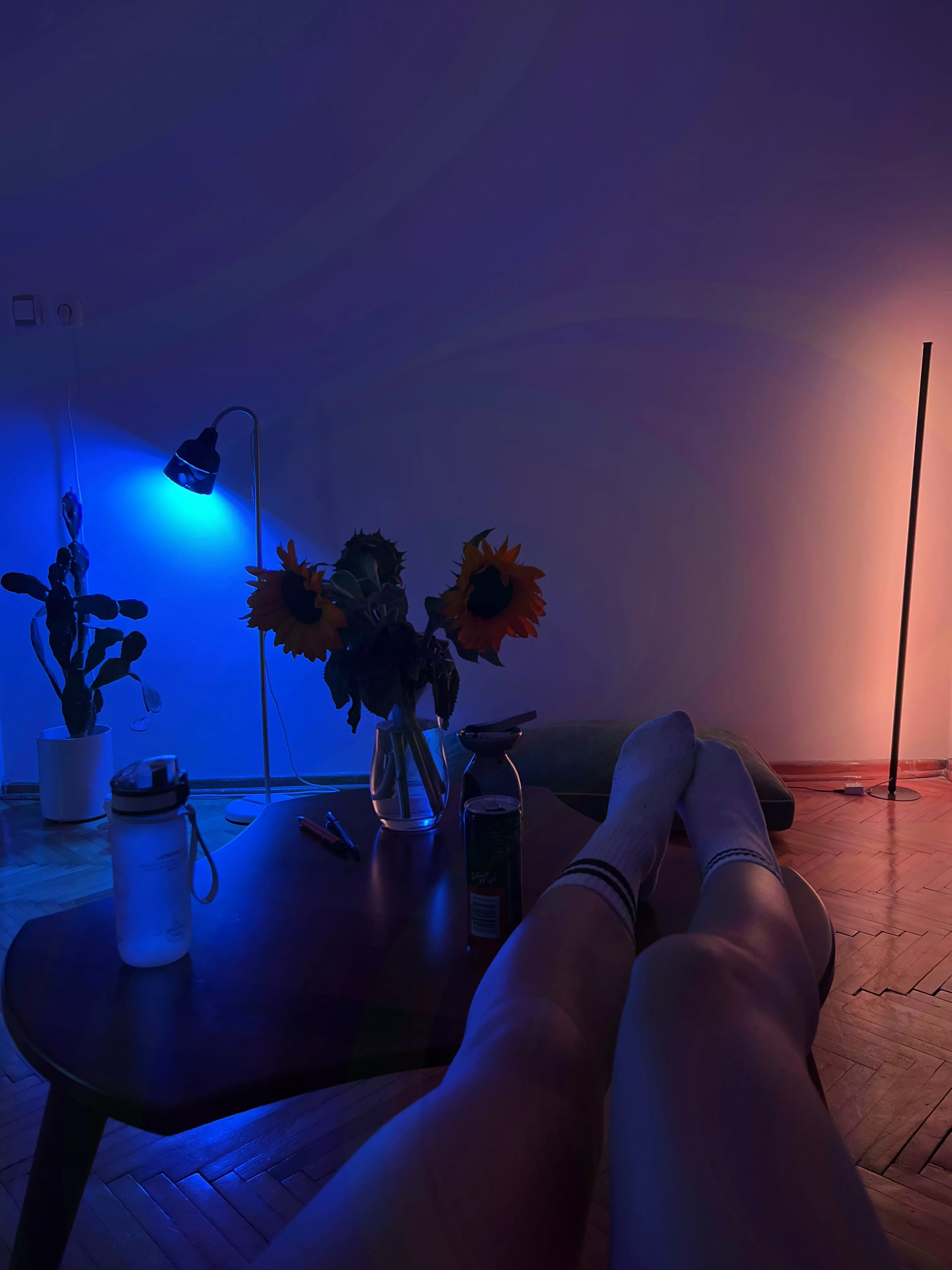 I'm shy until we start fucking. posted by EliseDavise