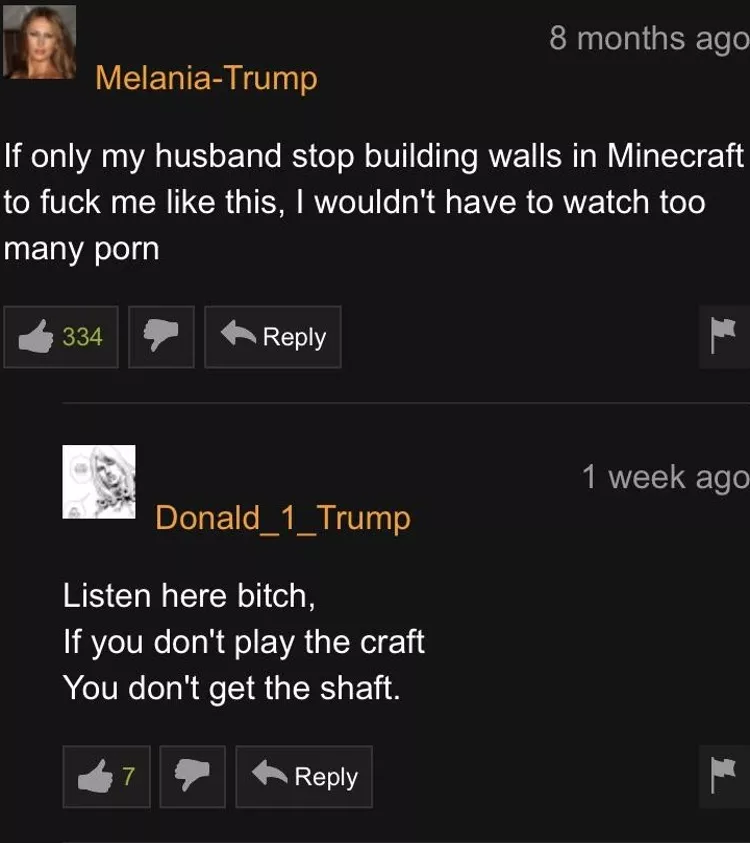 Melania got caught 😔 posted by CognateStudbook44