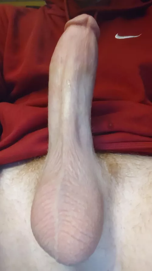 Some more of my cock by mildly_hung