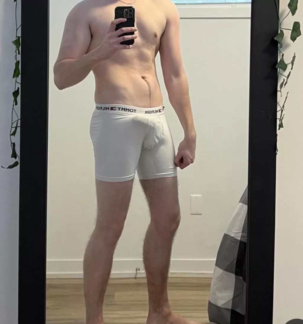 What your take on that bulge? posted by blueflsmeeeee