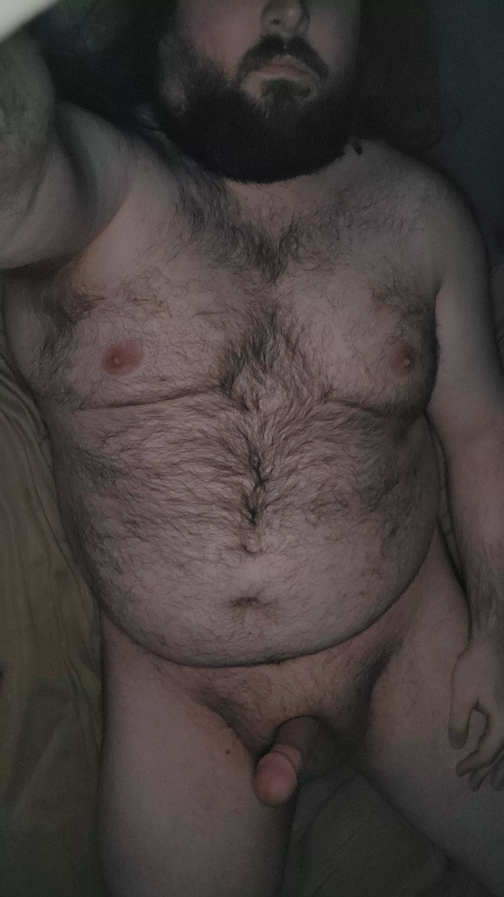 Are 26 year old bear cubs your type? posted by DogDaddy97