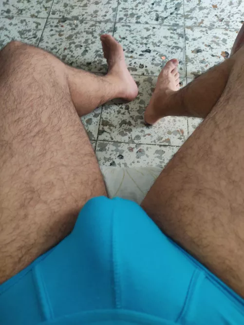 Blue by pitbull_at_your_feet