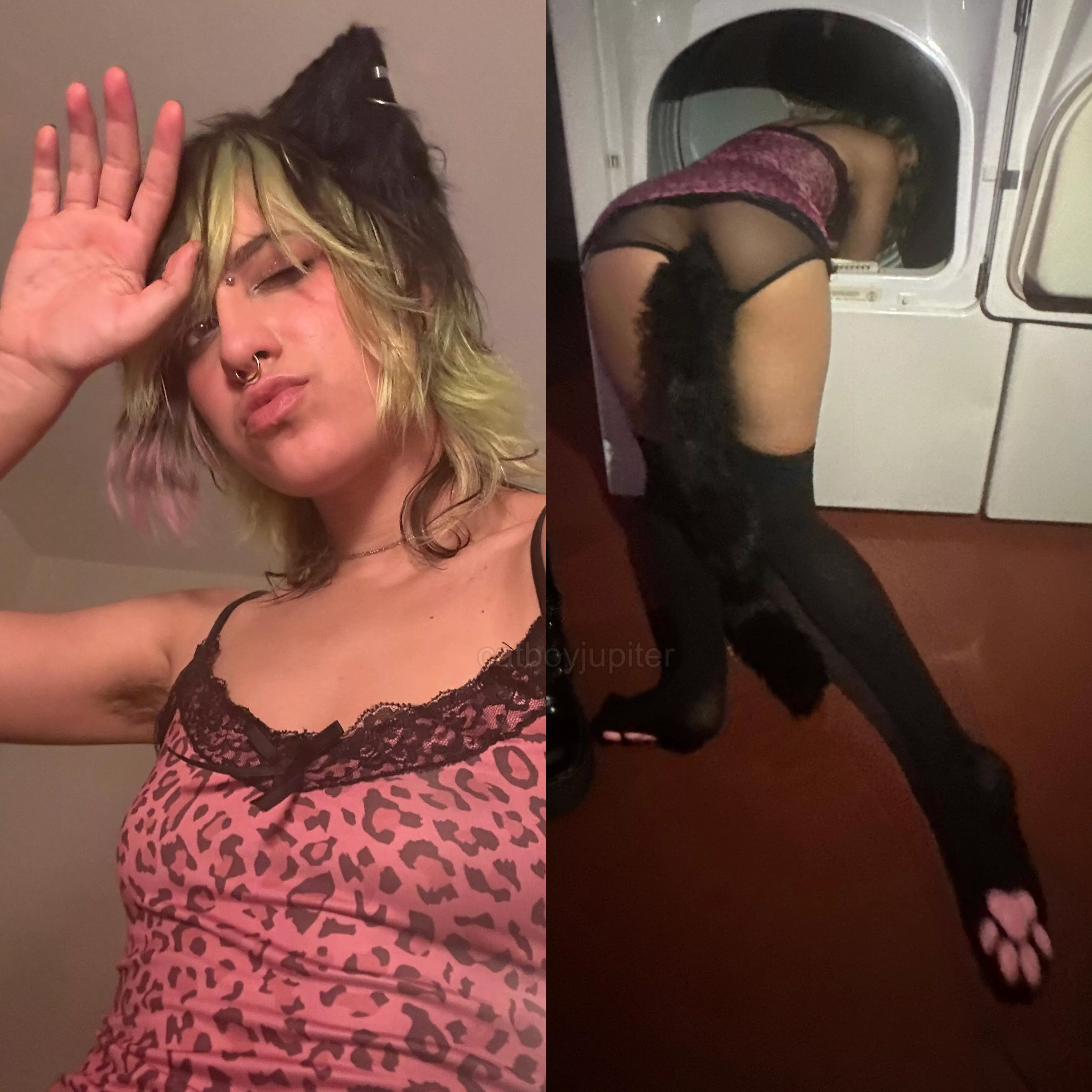 Can you help this catboy? I think he's stuck in the dryer... posted by batatababy444