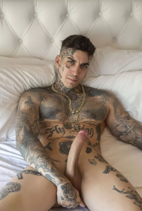 I'm a new reddit user... by riveraeloy