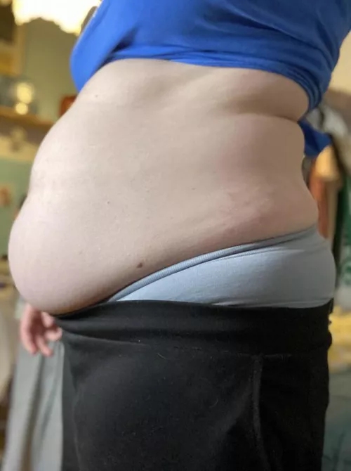 it turns me on so much seeing my belly hang past my underwear..i’m such a fat pig and i love it by l1fe0nm4rs1