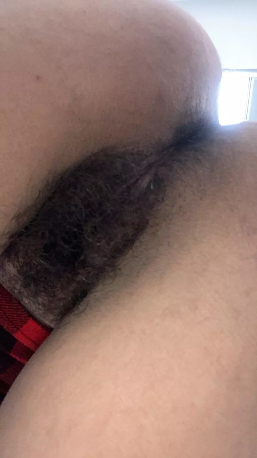 Lick my [h]airy holes from behind & I'll squirt in your mouth posted by lickedyslit