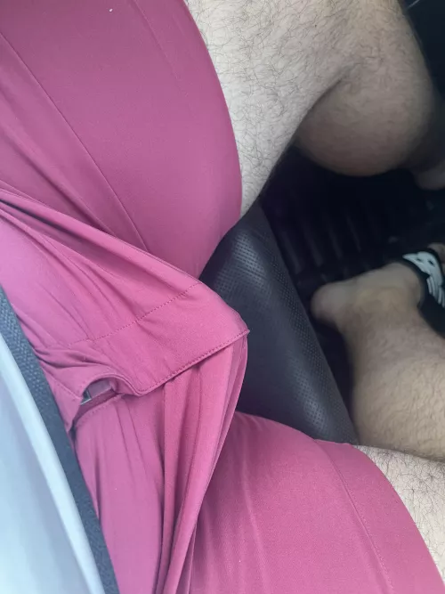 My wife kept grabbing while driving, I asked what’s up, she said look down. 😍😎 by kankan988