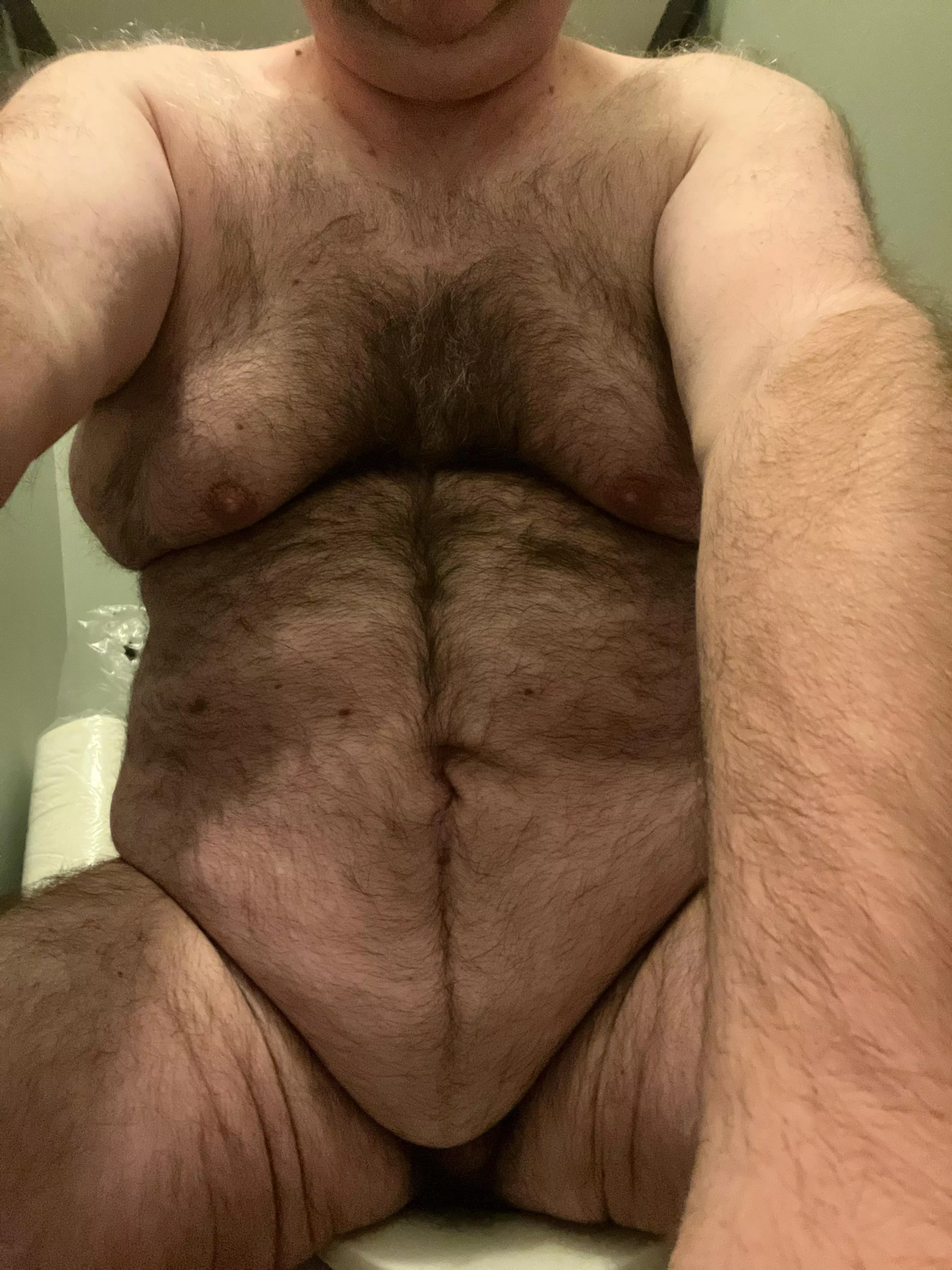 Newbie posted by SuccessfulChance8003