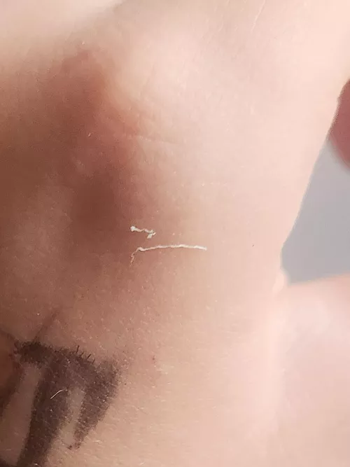 Nose stringer, took sooo long to come out by Ok_Border_4289