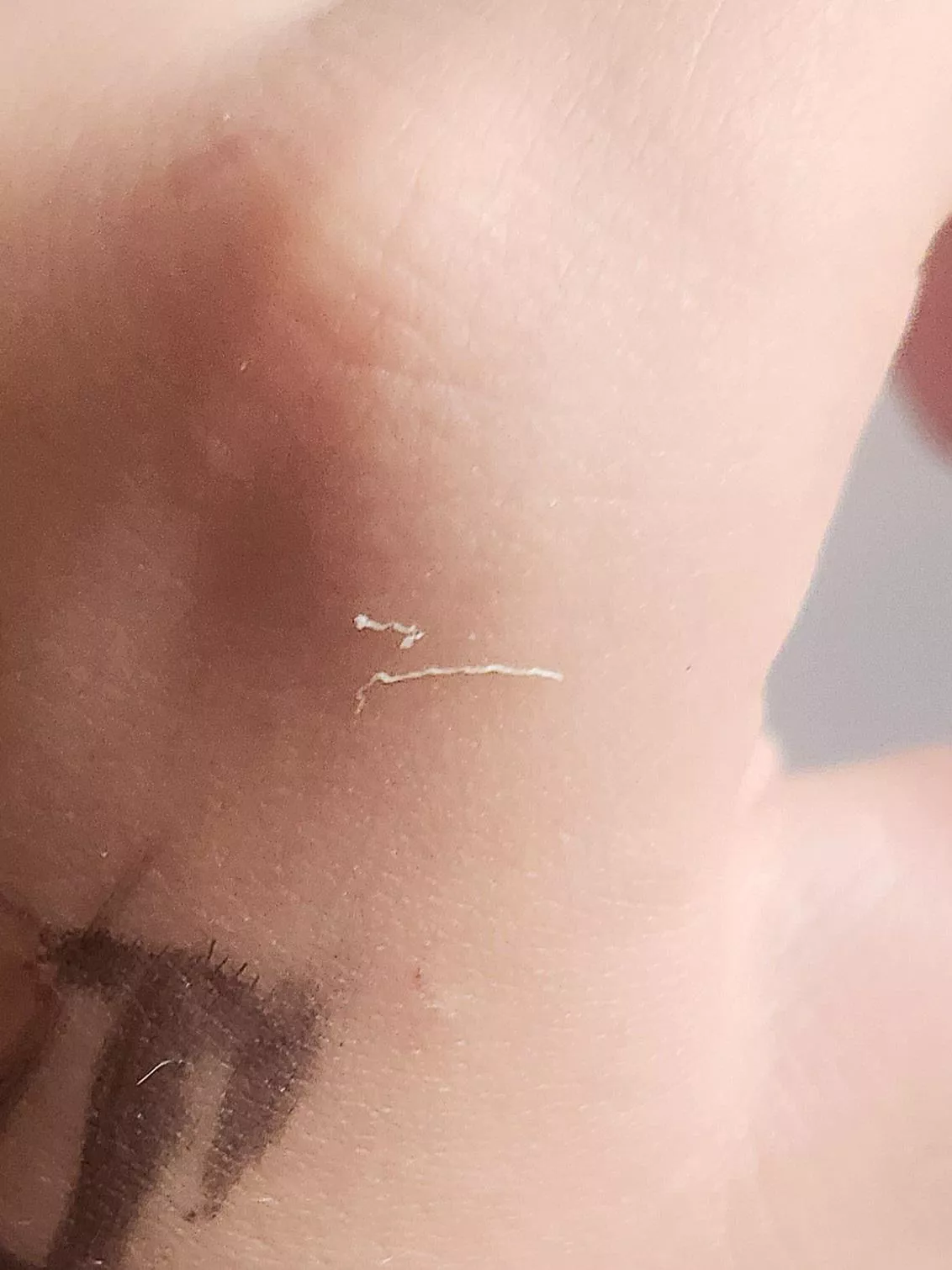 Nose stringer, took sooo long to come out posted by Ok_Border_4289