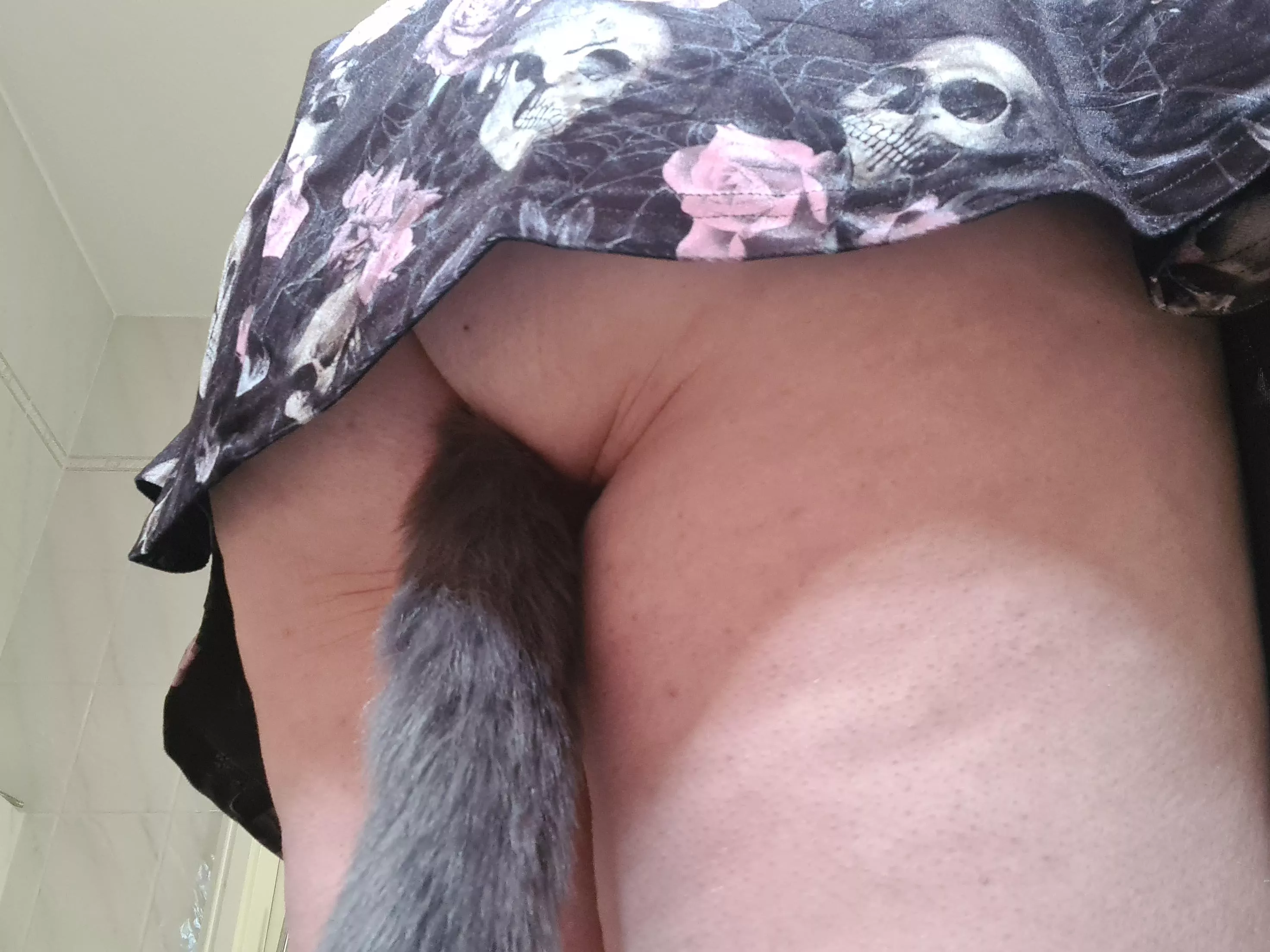 This kitty wanna play posted by Usagimuru