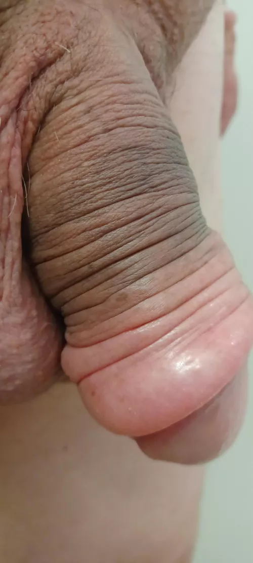 A 30 minutes pump session on labor day! by FineButterscotch1882