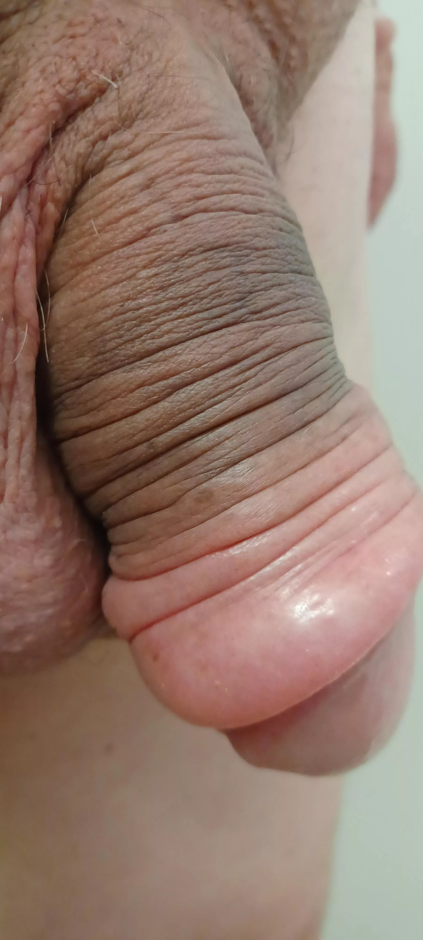 A 30 minutes pump session on labor day! posted by FineButterscotch1882