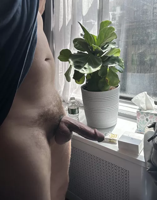 Anyone hungry for my thick almost divorced cock? by Prudent_Caregiver_98