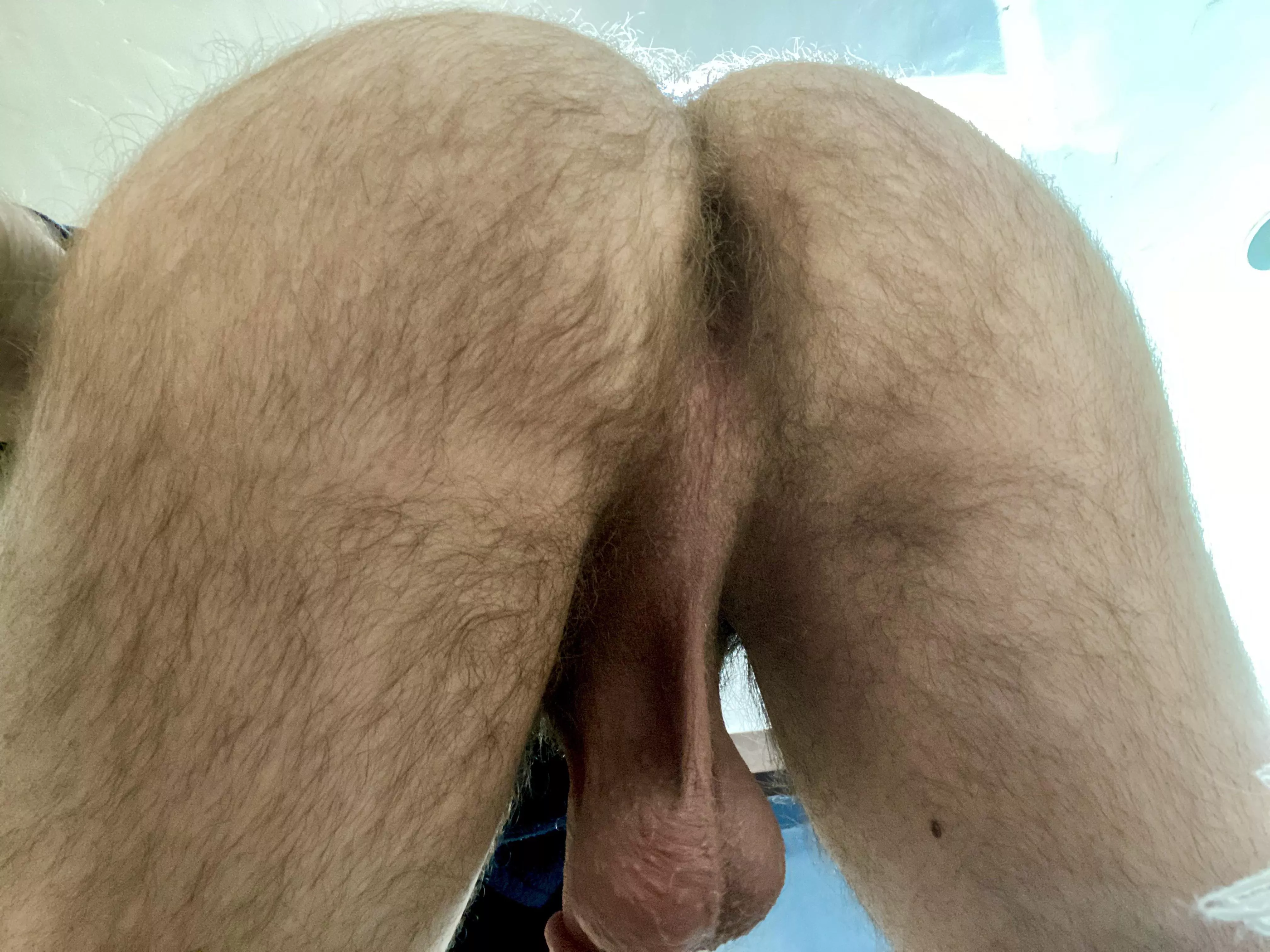 Bent over for your morning wood :) posted by hairyjerkbudd