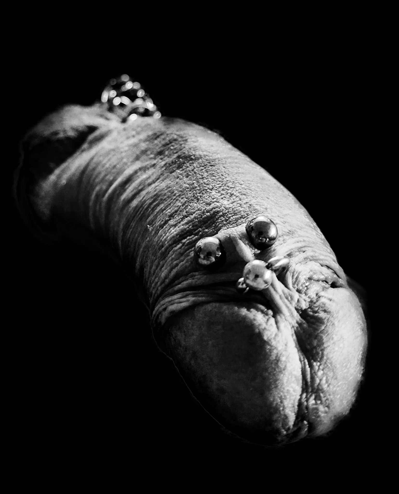 Dark posted by T_Goetz