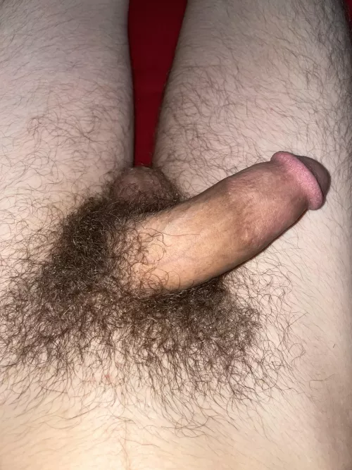 Would you play with it? by Immensexxx