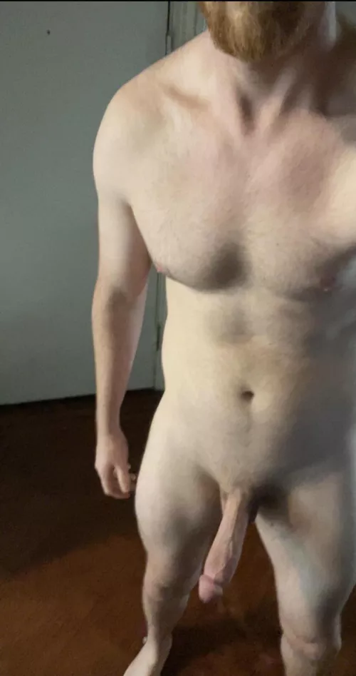 6’4 ginger looking for someone to toss around by tallpaleandginger