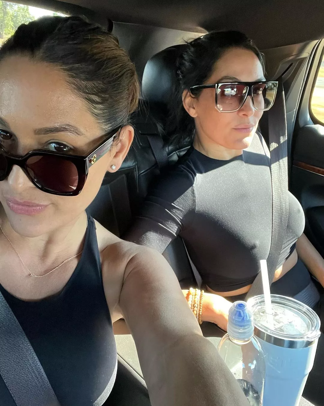 Brie Bella (American Wrestler) posted by Djf47021