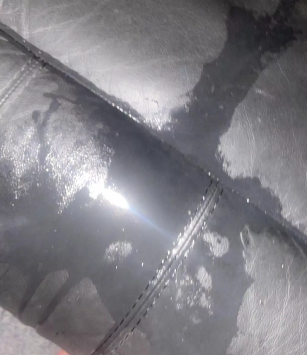 casually just pissed myself on my couch whist gaming 😈 it feels so addictive posted by ThiccAdvicate