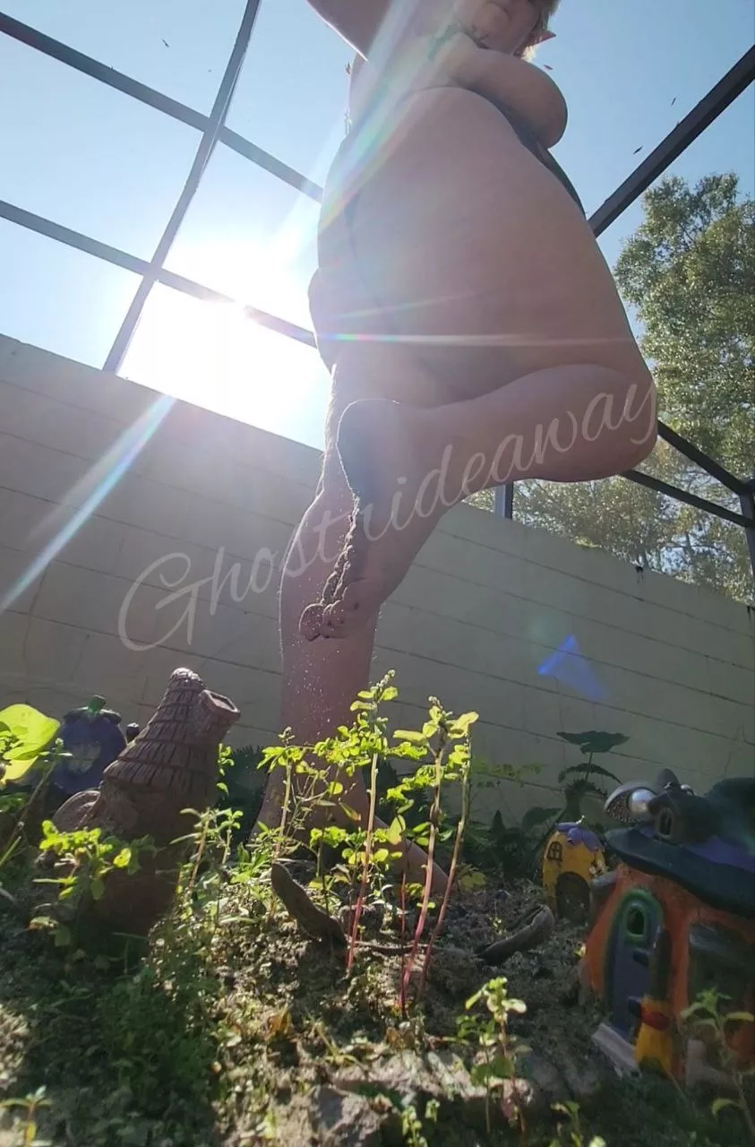 Taking a walk in the fairy garden posted by ghostrideaway