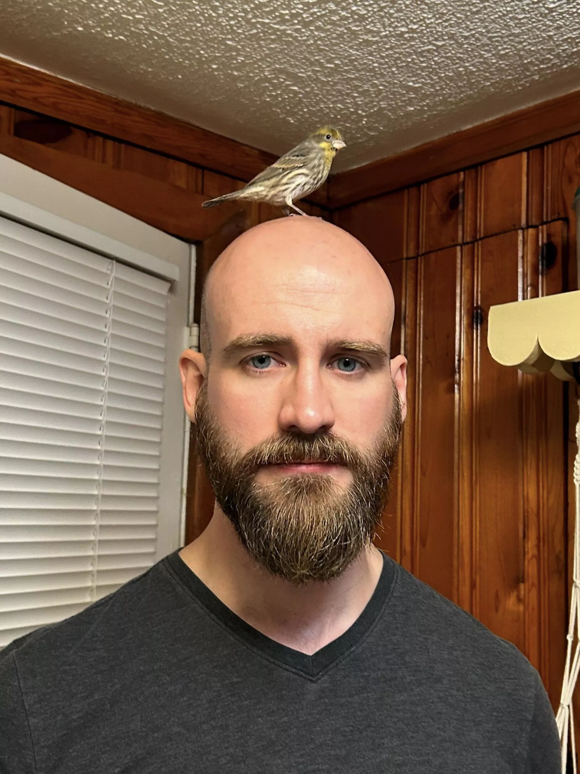 Bird posted by MrBabaFeet