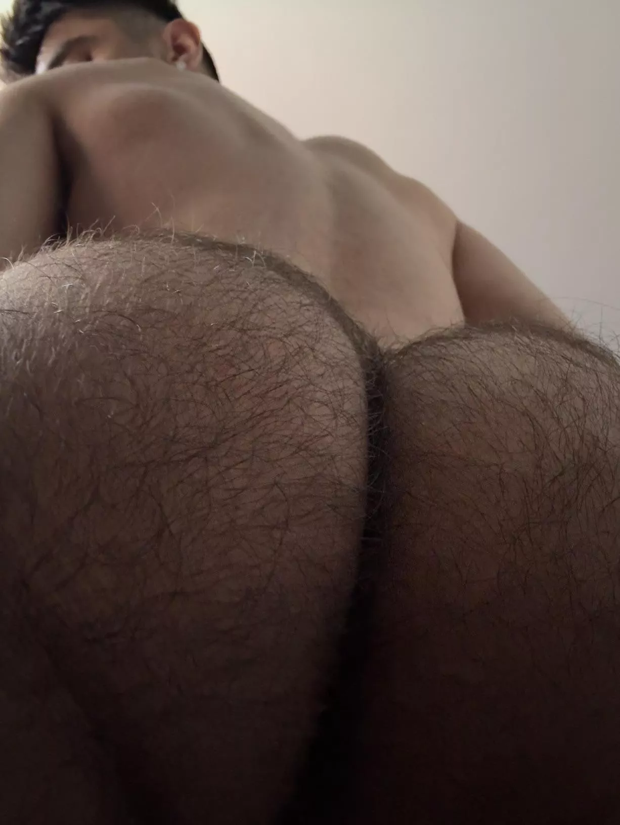 Breed me? posted by pputitooxxx