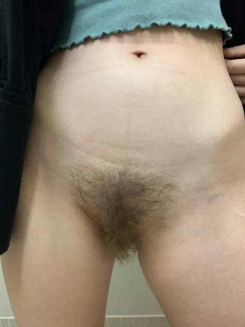 first bush post ever! thanks for having me by pearlsinthesky