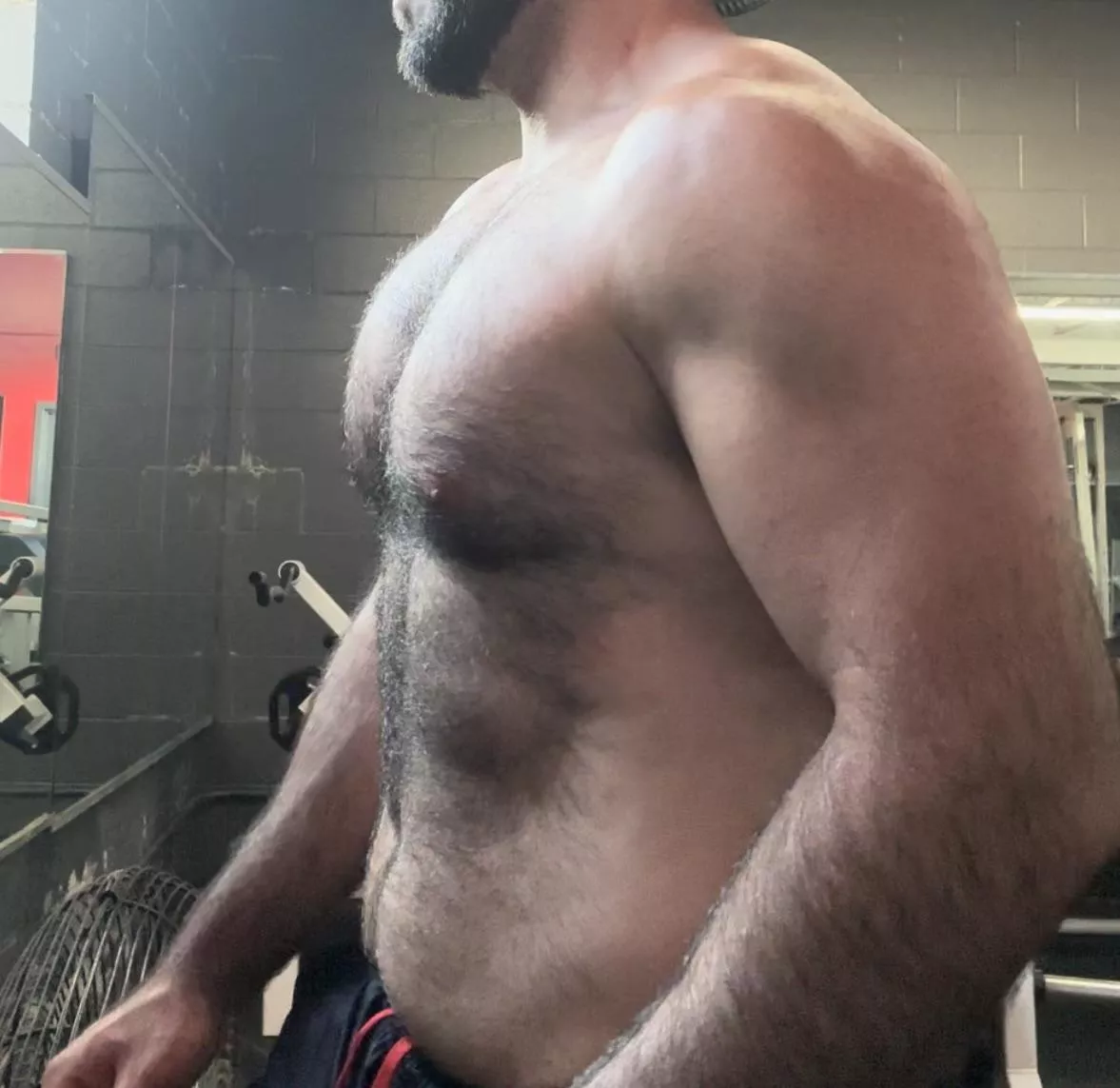 Hairy enough? posted by Healthy-Magician-172