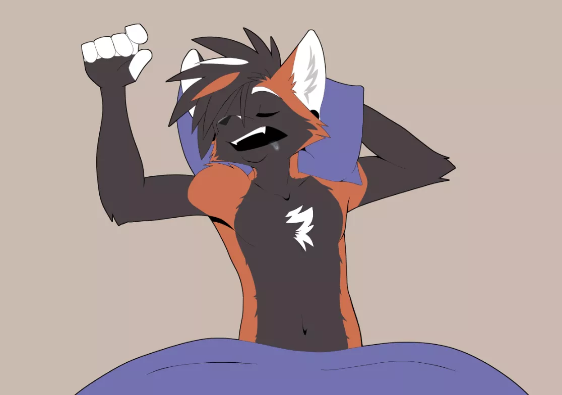 Sleeping hard - by me posted by SorenKFox
