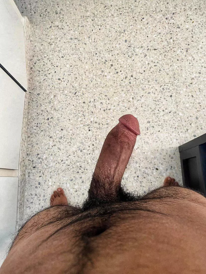 Wood morning posted by Worth_Success_3520