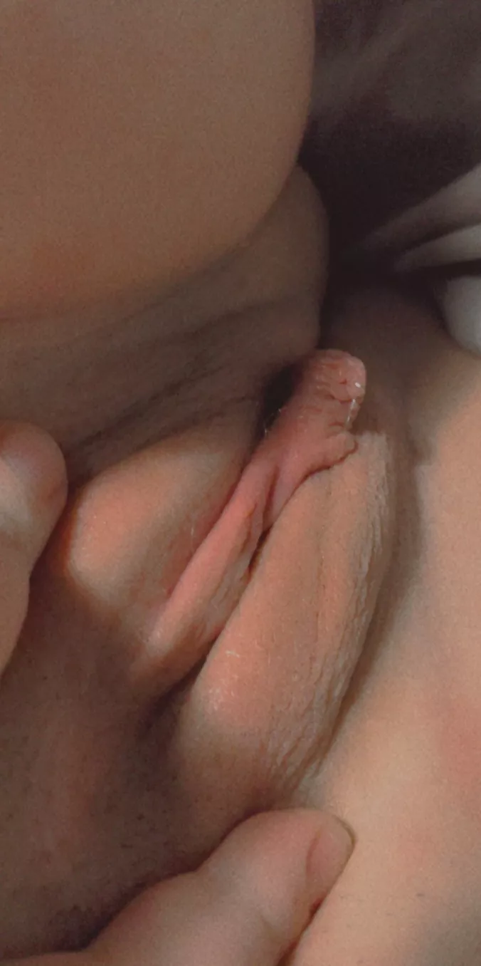 Would you eat my pussy? 36 f posted by Curiosityinvan1986