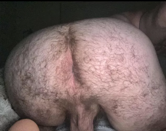 (31) beefy bttm by Screwdrew00