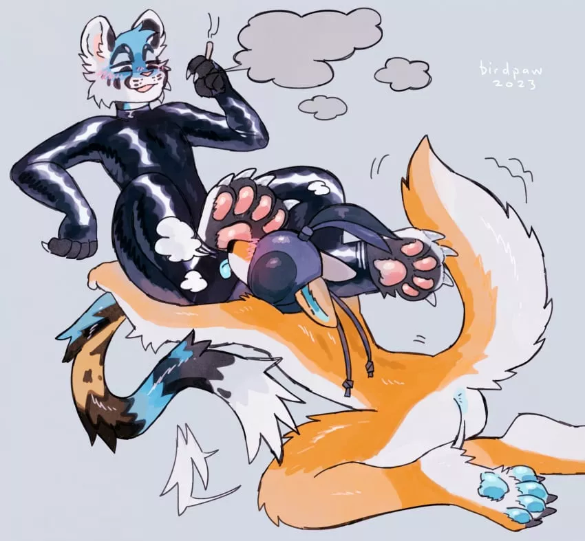 bean praise~ (birdpaw) posted by femboyastra